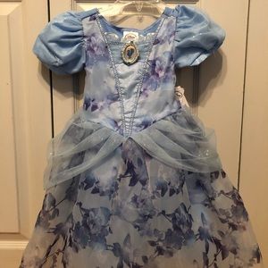 Cinderella Princess Dress
